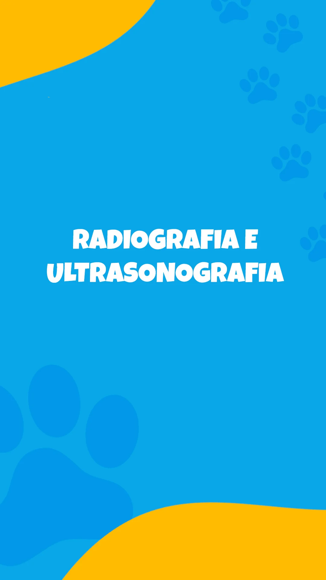 radiografia e ultrassonografia no centro veterinário unianchieta