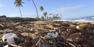 obtenha informações sobre o relatório do Greenpeace que aponta a Coca-Cola, Nestlé e Pepsi como as principais produtoras de lixo plástico global, destacando a urgência de ações para enfrentar a crise ambiental.