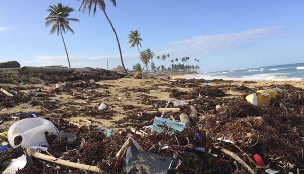 obtenha informações sobre o relatório do Greenpeace que aponta a Coca-Cola, Nestlé e Pepsi como as principais produtoras de lixo plástico global, destacando a urgência de ações para enfrentar a crise ambiental.